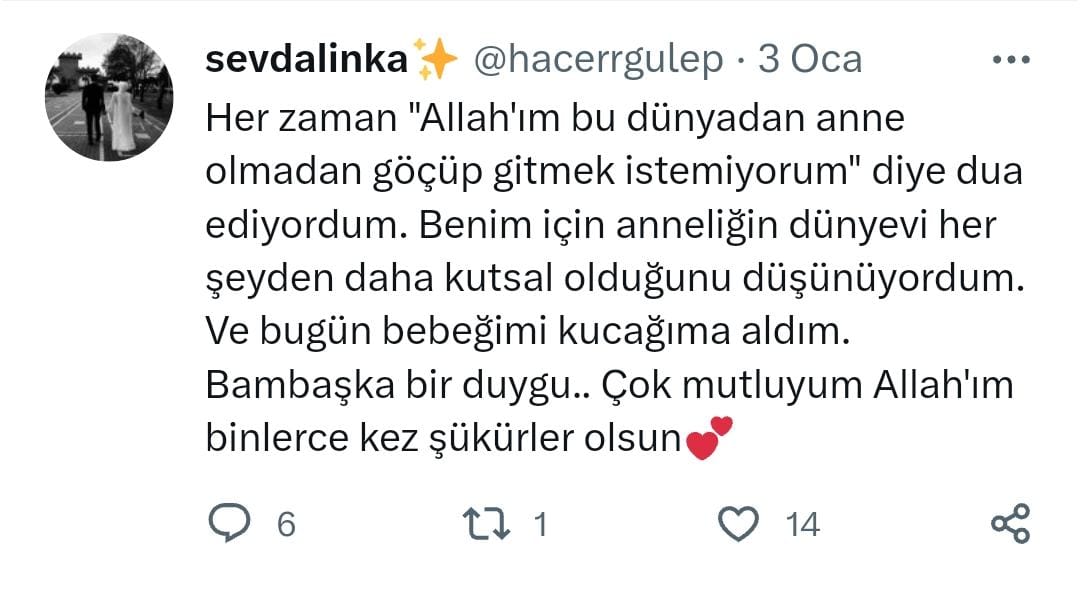AYNURAYDOMU's tweet photo. @bernalacin35 Acil !! Daha yeni doğum yapmış!!! https://t.co/AokfjBMvXP