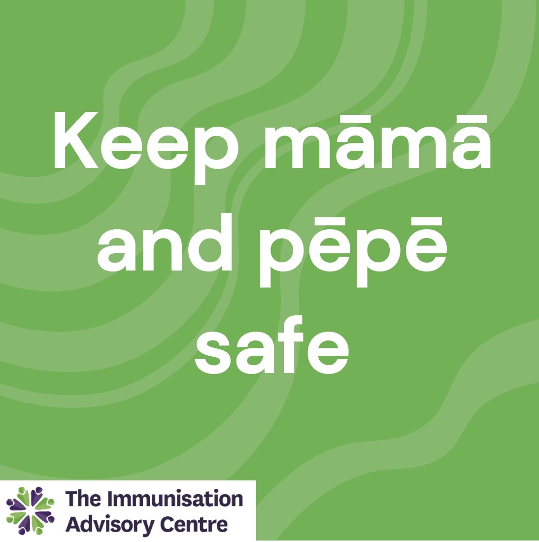 ImmuneNZ tweet media