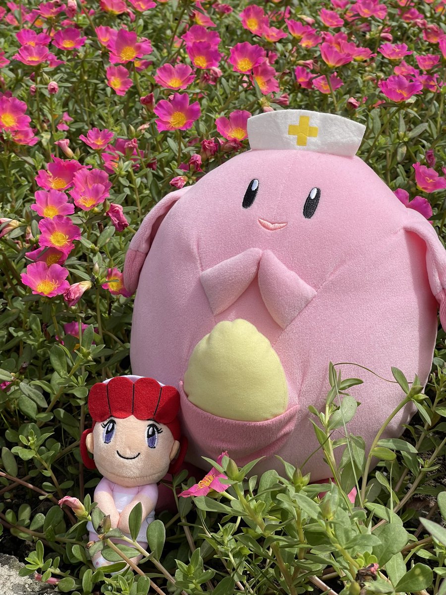 Augustus Jam tweet media