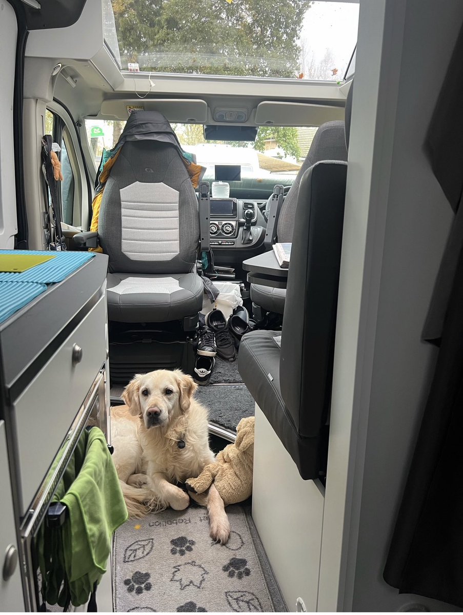 CampervanGolden's tweet photo. Happy 5th birthday to our bestest travelling companion 🥳 https://t.co/ugU9WckKQA