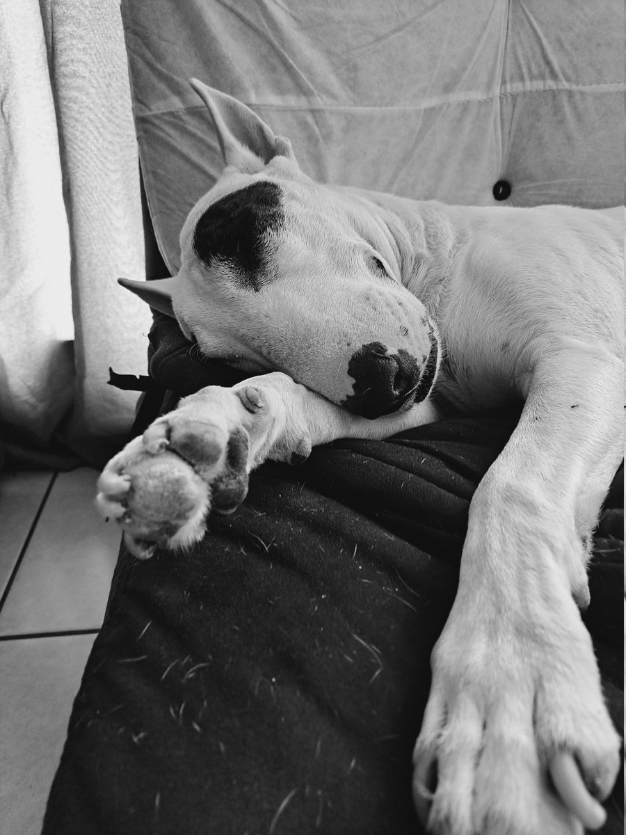 Lazy day