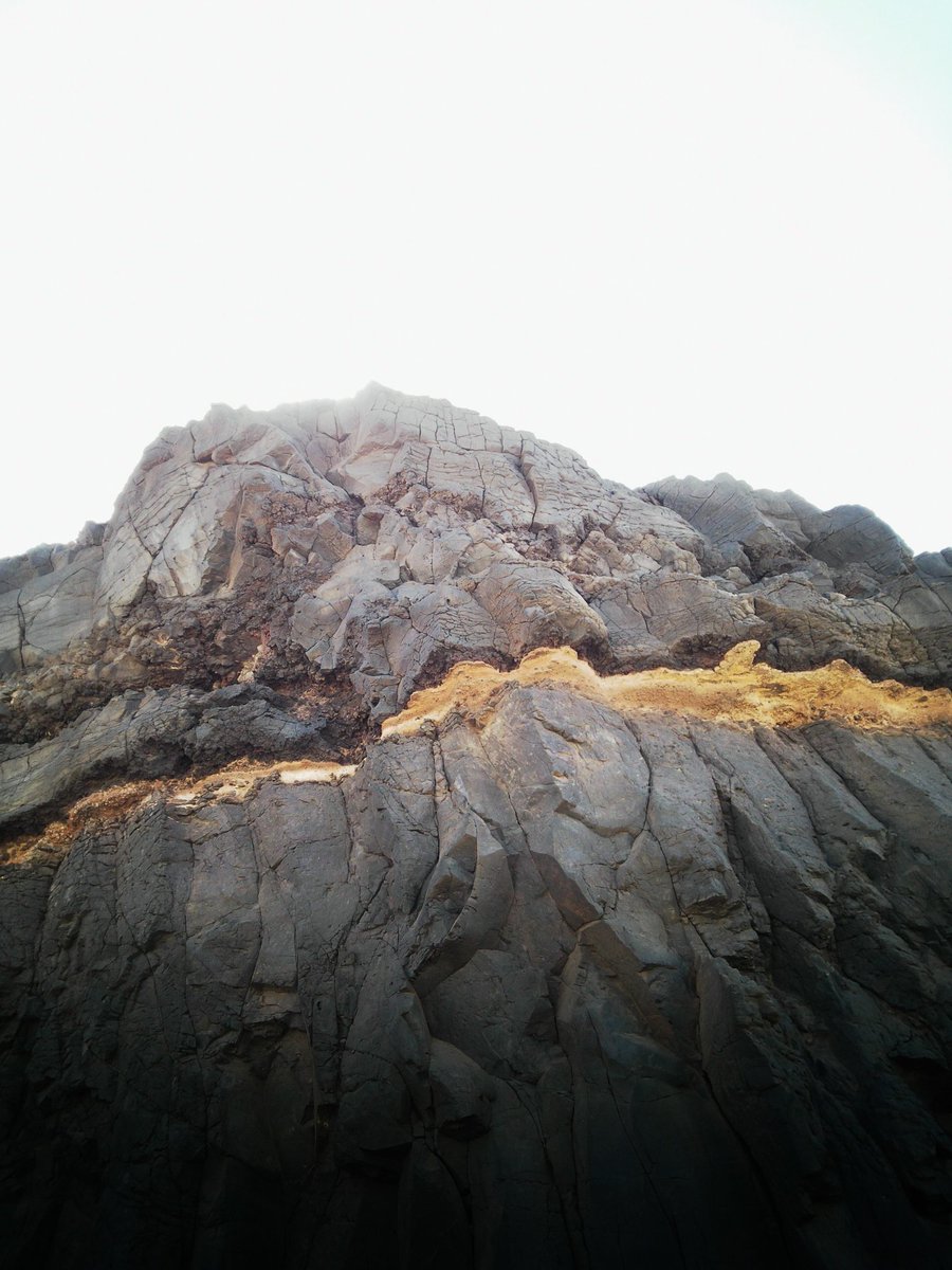 LifeofYo's tweet image. Lets see how many Bots are online today. 😂

What do you think this is? 

#papershootcamera #lightroommobile #askingforafriend