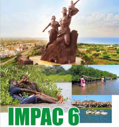 BirdLifeAfrica's tweet photo. 🎉🥳The 6th edition of the International Marine Protected Areas Congress (IMPAC) will be held in Senegal 🇸🇳 in 2026 with the support of regional networks for the protection of #marine areas in Africa, including @rampao_network @wiompan and @MedPAN among others #IMPAC6
©RAMPAO https://t.co/evzuoJXZ1E