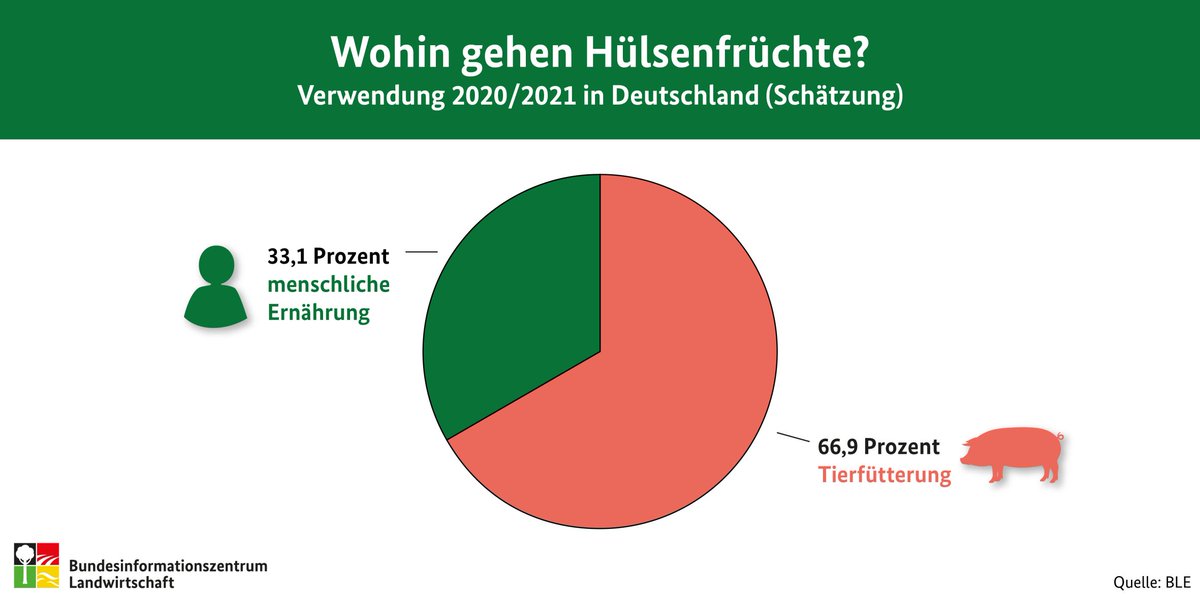 JKI_Bund's tweet image. Wir feiern den #TagDerHülsenfrüchte.🥳Der Großteil der #Leguminosen wird als #Tierfutter verwendet, für den Teller werden sie jedoch zunehmend interessanter - und #Wildbienen fliegen drauf 🐝. Die @BZL_aktuell-Statistik bestätigt den positiven Anbautrend. 📜 (1/4)