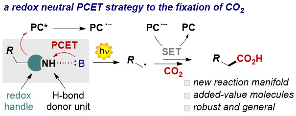 Luca Dell'Amico (@lucadellamicold) on Twitter photo Our adventure with PCET contiues! Happy to contributo to the <a href="/JOC_OL/">J Org Chem/Org Lett</a> special issue in photocatalysis! Thanks to Munetaka Akita, <a href="/Ceroni_GROUP/">paola_ceroni</a> and <a href="/crjsteph/">Corey Stephenson</a> @StephensonLabUM for the invitation!!! A great collaborative work with <a href="/asartorel74/">Andrea Sartorel</a> !!!
👉pubs.acs.org/doi/pdf/10.102… Our adventure with PCET contiues! Happy to contributo to the <a href="/JOC_OL/">J Org Chem/Org Lett</a> special issue in photocatalysis! Thanks to Munetaka Akita, <a href="/Ceroni_GROUP/">paola_ceroni</a> and <a href="/crjsteph/">Corey Stephenson</a> @StephensonLabUM for the invitation!!! A great collaborative work with <a href="/asartorel74/">Andrea Sartorel</a> !!!
👉pubs.acs.org/doi/pdf/10.102…