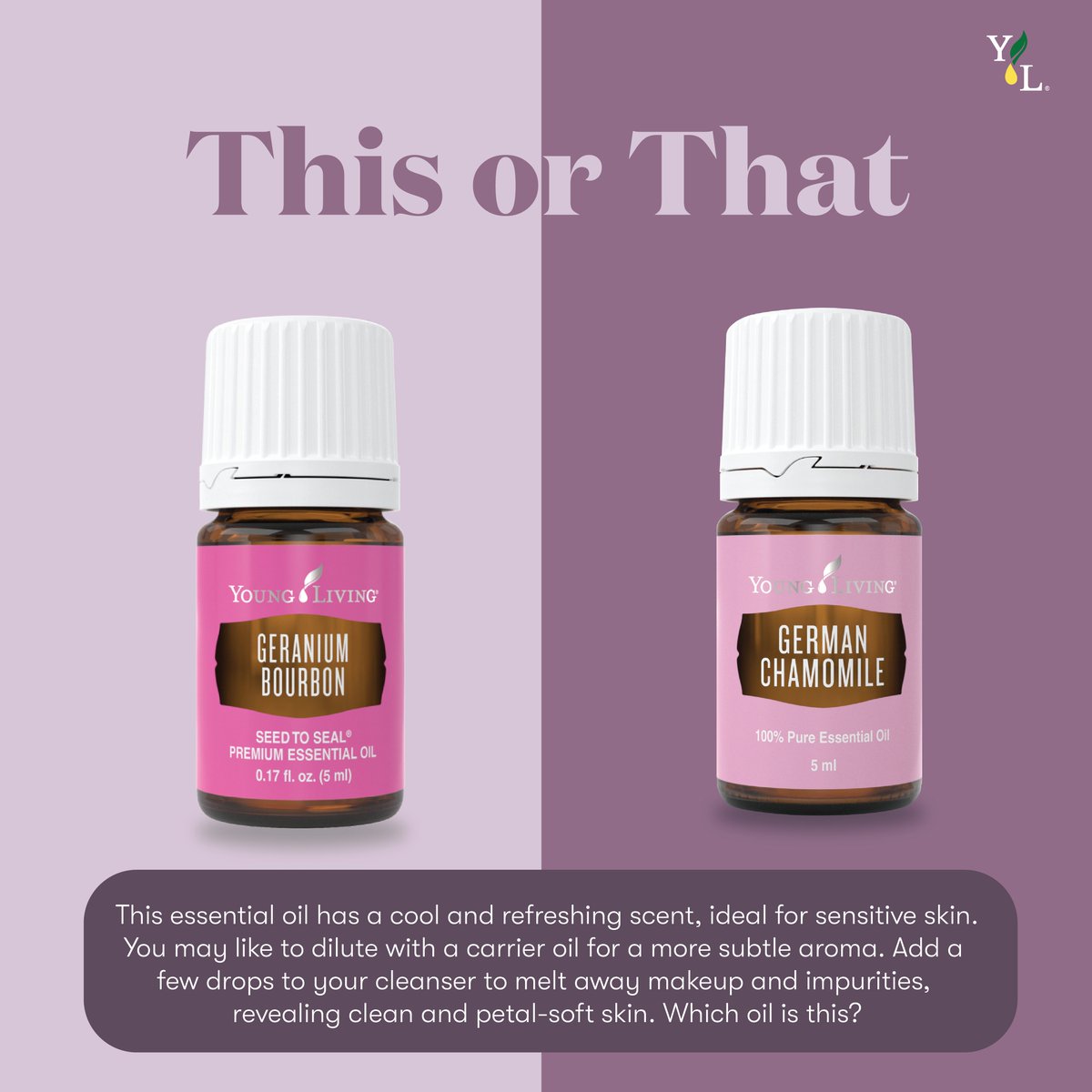 YoungLivingAF's tweet photo. Do you know your Young Living Essential oils? Comment down below and letβs see.
ππ SHOP OUR FEBRUARY OFFERS via the link in our bioπ² 'Monthly Offers'!
.
https://t.co/D94YzVYy3O
.
#PerfectPairs #YLPerfectPairsWithMe #LifeWithYL #YoungLivingAfrica #EssentialOils https://t.co/VizsHKf0Go