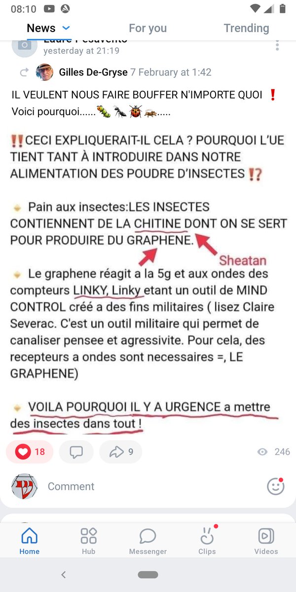 Fra_Kieffer's tweet photo. La raison des insectes dans l'alignement https://t.co/1oXWKz51Rx
