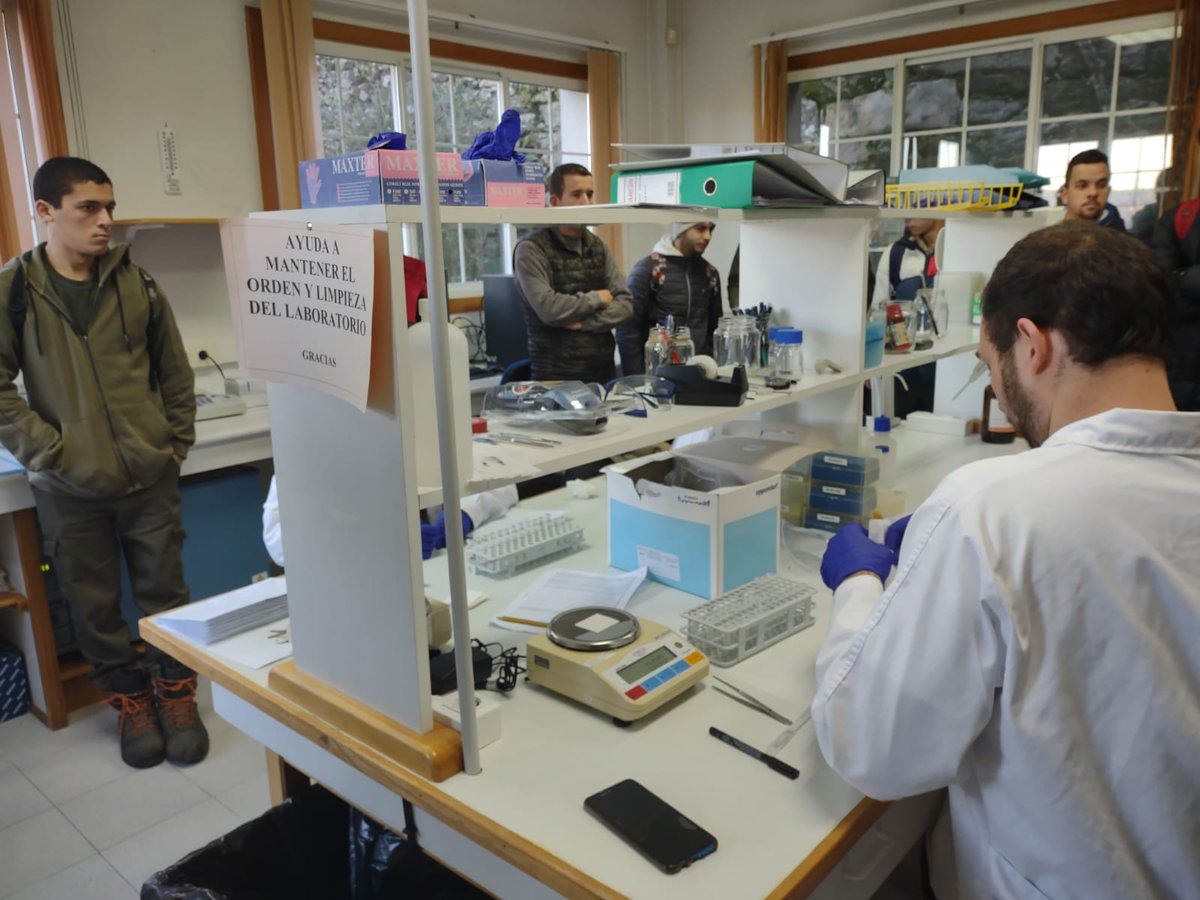 alourizan's tweet photo. Acción formativa no Centro de Investigacións Forestais de Lourizán da man de Raquel Díaz e o seu equipo de investigadores no eido da selección de planta de piñeiro resistente ó nemátodo (Bursaphelenchus xylophilus). Mais info na nosa páxina web https://t.co/4CHidAyxAZ https://t.co/57dRLCGL6v