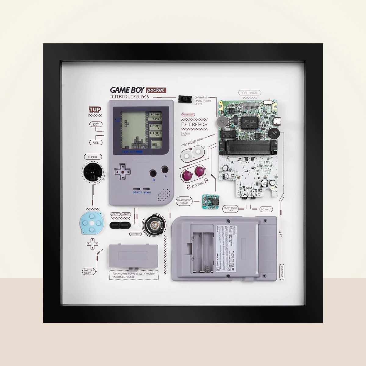 Nintendo-Master 🎮 tweet media