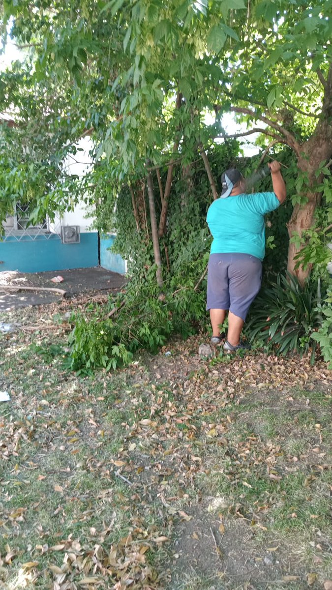 TemperleyEste's tweet photo. ↪️ Instituciones

👉🏻 El equipo de la Delegación, estuvo recorriendo las Escuelas para ponerse a disposición y consultar las necesidades que tienen las instituciones.

🍃 Operativo de Corte de Cesped, Despeje, Tareas de Jardineria, Barrido y Limpieza en la EES N° 14 "Tomas Espora" https://t.co/DnYqMvMn6W