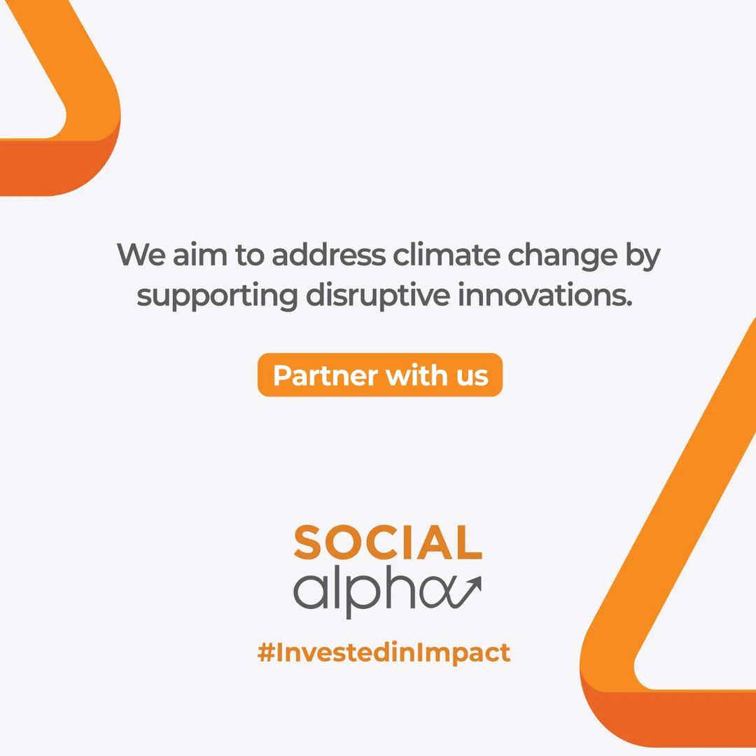 STRAWCTURE ECO tweet media