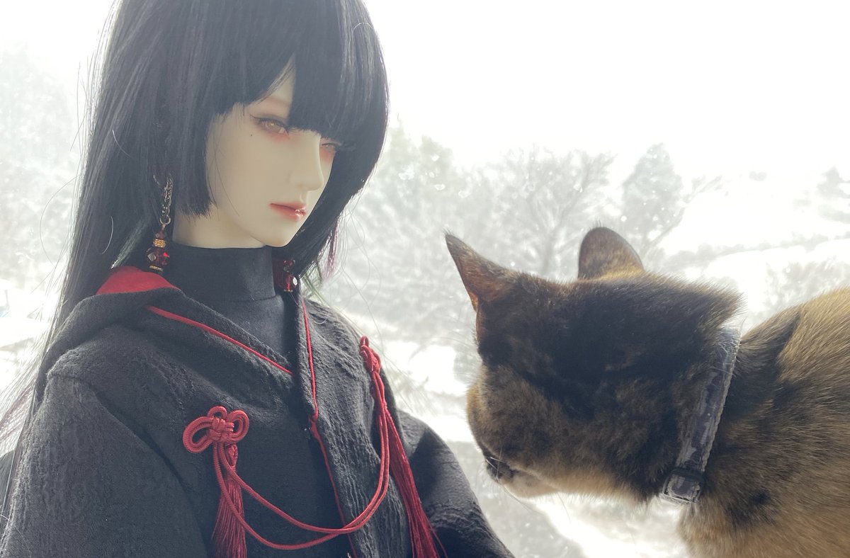 error_doll_'s tweet photo. ❄️ https://t.co/QThmDe8VQP