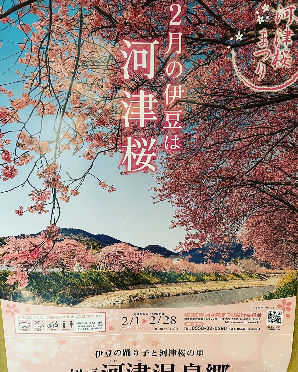 shojisonobe64's tweet photo. 河津桜まつり🌸

3月5日まで
開催期間が延長になりました

引き続き感染対策を実践して
感染防止にご協力をお願いいたします。

たくさんのご来場お待ちしております

＃河津桜まつり
＃期間延長 https://t.co/TSErRhBhno