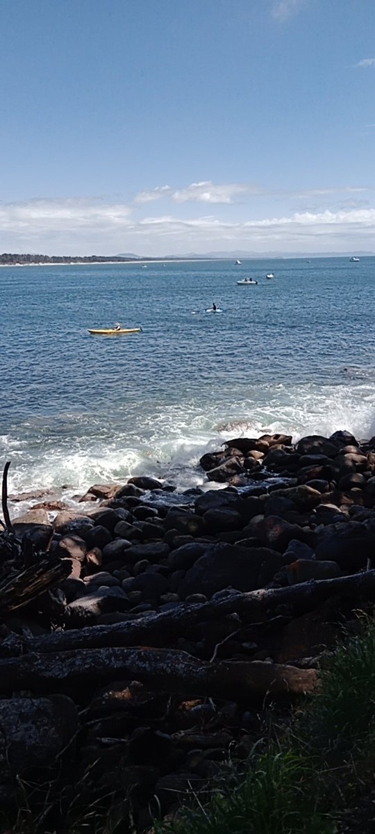 JosephReidNZ's tweet photo. The Friday in Summer, when it wasn't raining, I went out and about. https://t.co/UVQ13kvjim