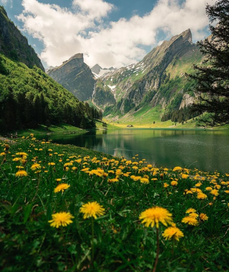 BellamyAndrew4's tweet photo. @anadsse5543 🌿 Switzerland is the paradise on Earth…
🌿 Have you been there?
- Mürren
- Gimmelwald 
- Lake Seealpsee
- Waterfall in Uri
- Lake Klöntalersee
- Allmendhubel
- Seerenbachfalls
- Old Town of Brienz
- Lauterbrunnen
- Wengen View to Lauterbrunnen
see more: https://t.co/LyaJFLXwWY https://t.co/A60DaY456v