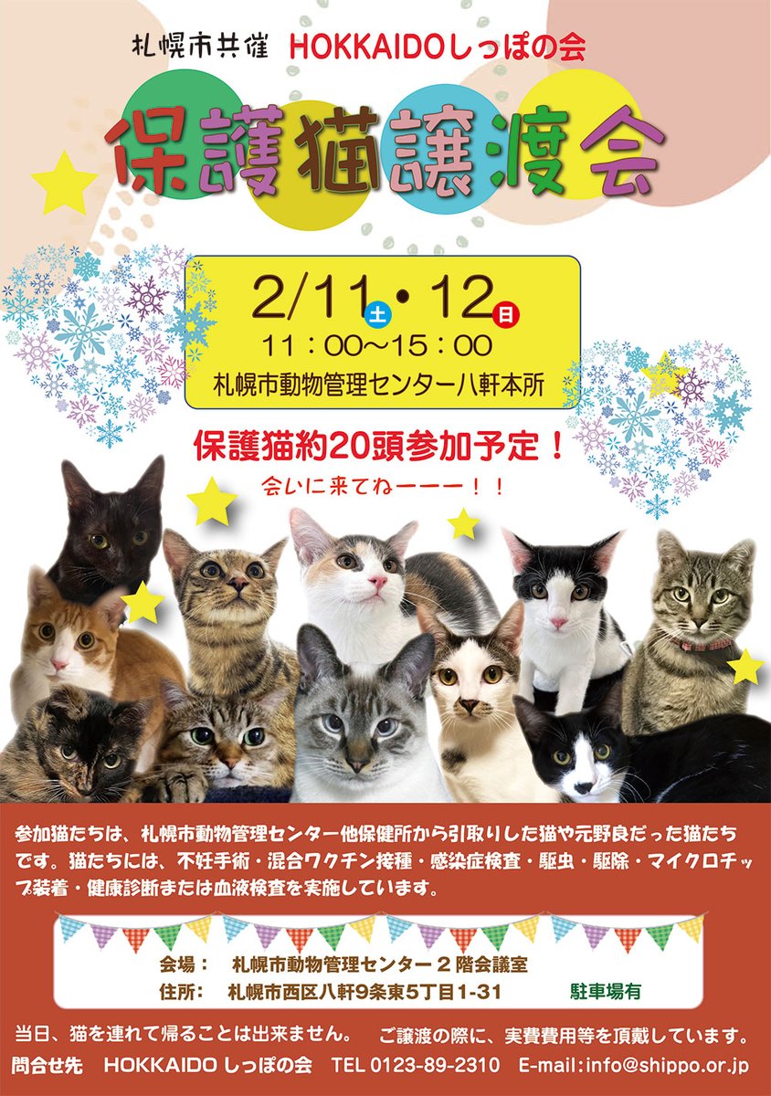 shipponokai's tweet photo. ✅HOKKAIDOしっぽの会は、明日、明後日、2月11日(土)・12(日)、札幌市共催保護猫譲渡会を開催いたします🐱
参加の猫には、不妊手術・混合ワクチン接種・感染症検査・駆虫・駆除・マイクロチップ装着・健康診断または血液検査を実施しています。
2日間で25頭の猫が参加…
https://t.co/jg6GWtJx3V https://t.co/8j6m431HQx