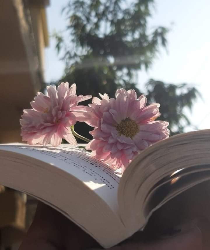 RumessaZ's tweet photo. 🥀خوبصورت الفاظ🥀
❤️خوبصورت پھولوں کی مانند ہوتے ہیں
وہی الفاظ اگر سخت لہجے میں بولے جائیں تو کانٹوں
کی طرح چبھتے ہوئے محسوس ہوتے ہیں۔
لفظوں کا خوبصورتی سے استعمال انسان پر ہوتا ہے
اسی سے انسان کے دل کی خوبصورتی اور مزاج کی نرمی
کا اندازہ لگایا جاسکتا ہے
🌺🍂
#Ashoo https://t.co/Sri7VTwaT6