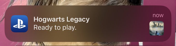 So we begin https://t.co/rZq05u6yhw