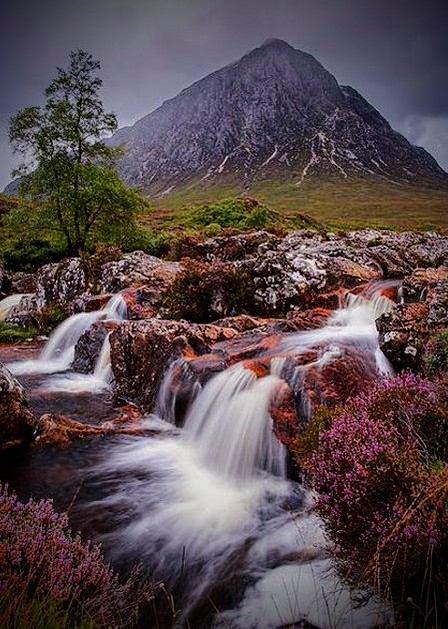 mhall55nine's tweet image. &quot;You can have what you want if you help other peaple get what they need!&quot; #compassion #HelpTurkeySyria #NatureBeauty #NaturePhotography #photograghy