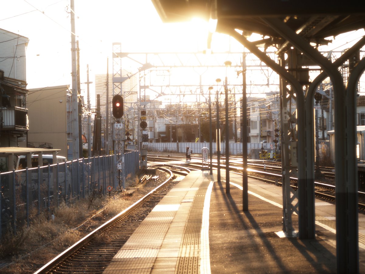 LensBeansJP's tweet photo. いい光

Olympus E-300
SMC Pentax-M macro 50mm F4 https://t.co/iPVdZNnF3U