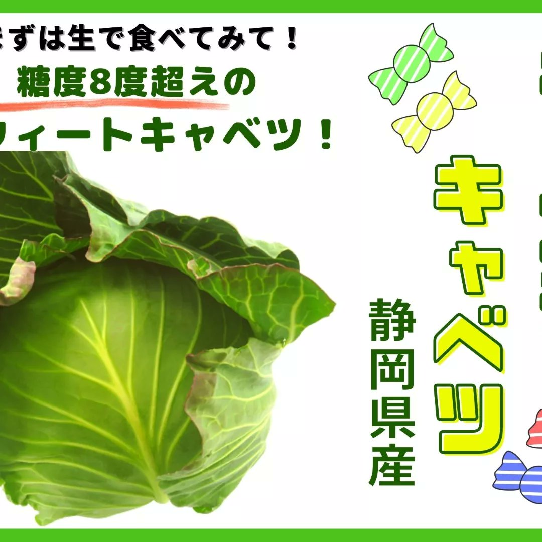 iimono4580's tweet photo. 2月11日(土)ベイクォーターマルシェ限定‼️
とびきりあまーい
キャンディキャベツ🍬🍭
数量限定で当日販売予定です！
お出汁の茅乃舎さんとのコラボ企画も…？！🥬お楽しみに♪
https://t.co/ej2nqDlRPT https://t.co/vwiRlqbp8k