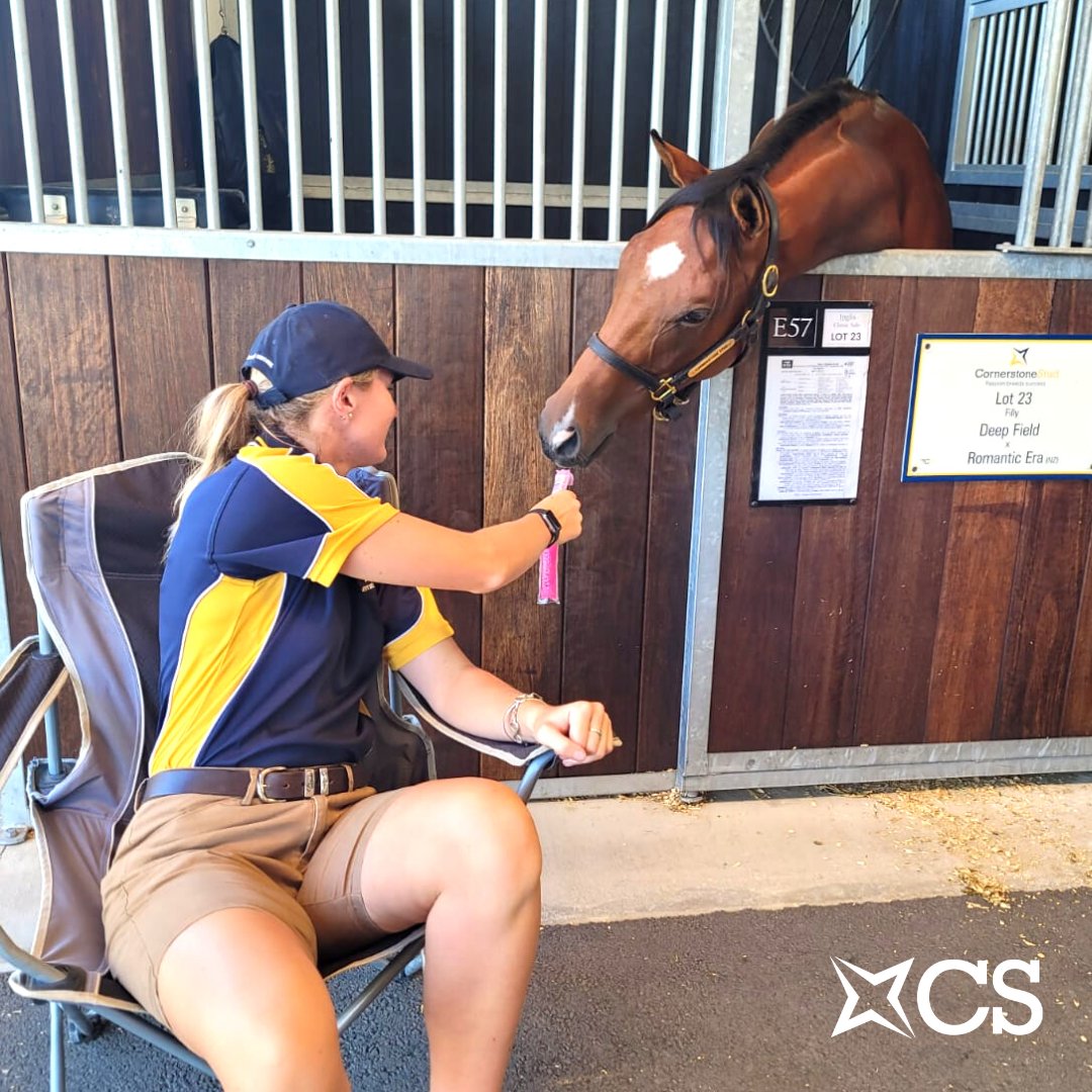 CornerstoneStud's tweet photo. When it's hot, it's hot, and everyone deserves a chance to cool down. https://t.co/GXhhwMu3J2