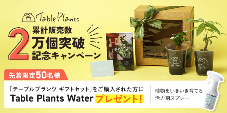 🍀GreenSnap tweet media