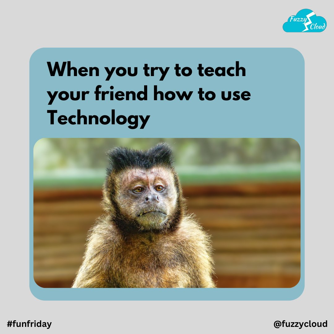 FuzzyCloud_In's tweet photo. We've rounded up the funniest Friday memes and quotes to get you through the day.

So whether you're looking for a little pick-me-up or need a good laugh, scroll down and check out our list of the funniest Friday posts.

Enjoy your weekend!

#funfriday #fridayposts #fuzzycloud https://t.co/C3nU2o1rUC