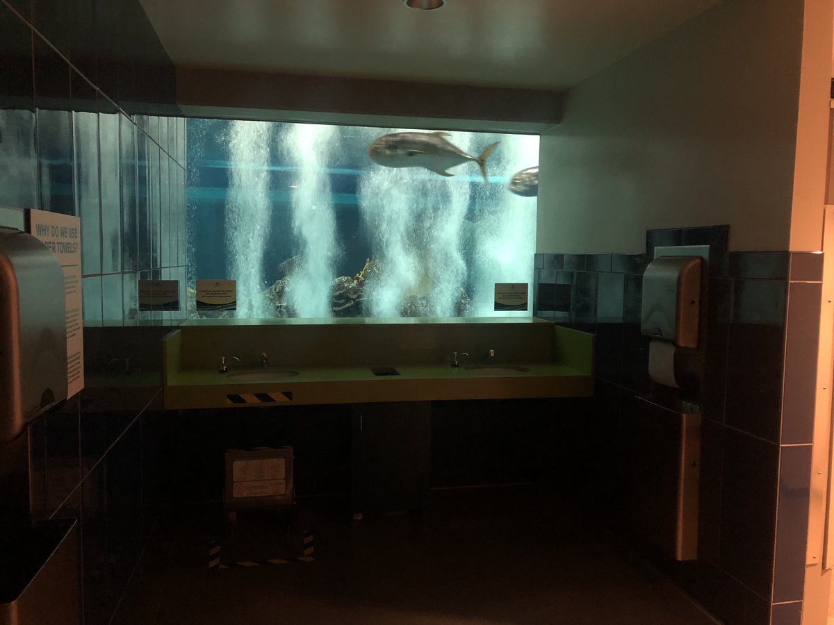 MissDJErotica on Twitter "Arizona Aquarium"