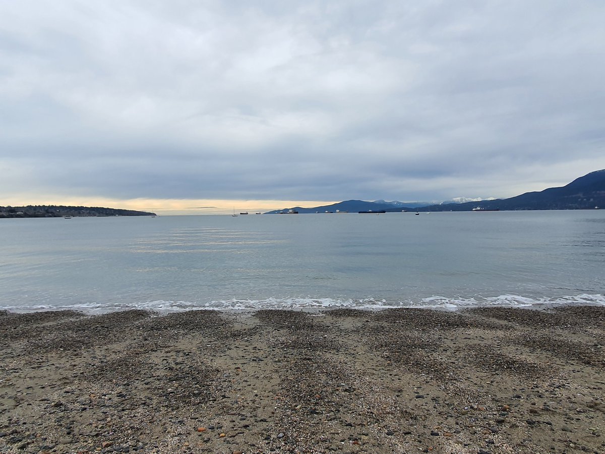 Mocket 🔺️💧🌸 tweet media