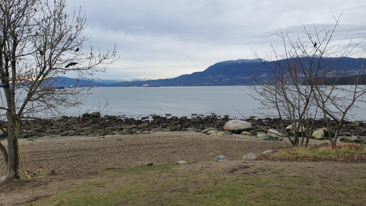 Mocket 🔺️💧🌸 tweet media