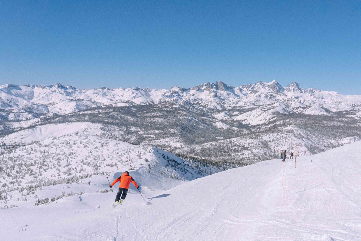 samjezak's tweet photo. Mammoth, but make it film. https://t.co/l8yWT40Dyd