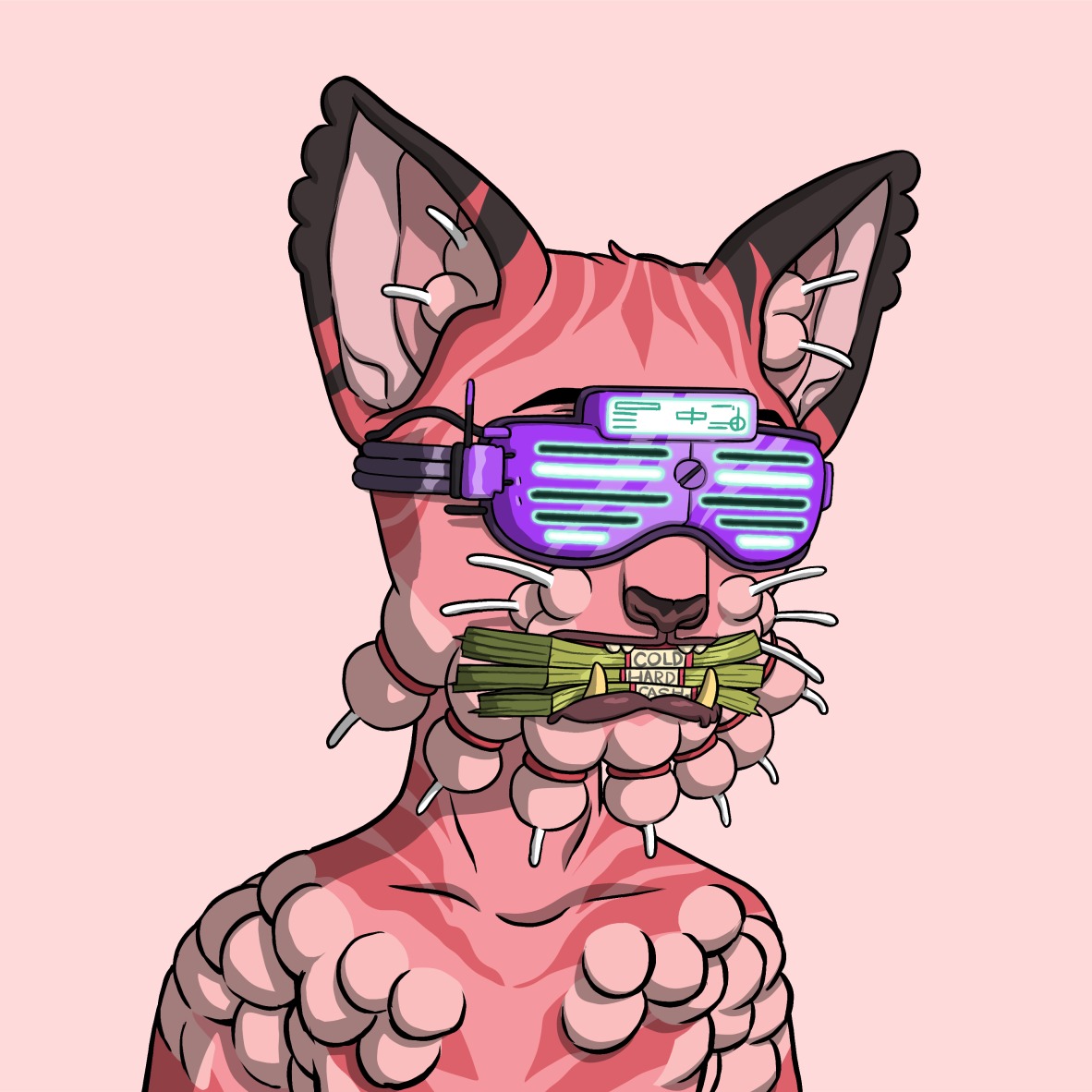 Cets STDAO tweet media