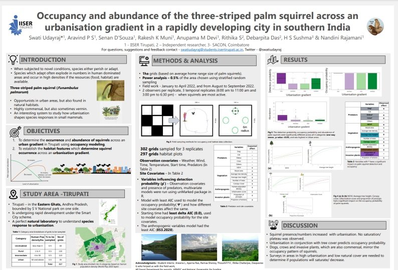 swatiudayraj's tweet photo. Presented a poster at #ISEB4 on one of my PhD chapters where I look at how three-striped palm squirrel occupancy & abundance changes across an urbanisation gradient. Our findings indicate that urbanisation in conjunction with tree cover predicts the occupancy & abundance of 🐿️ https://t.co/9tohvHyDhA