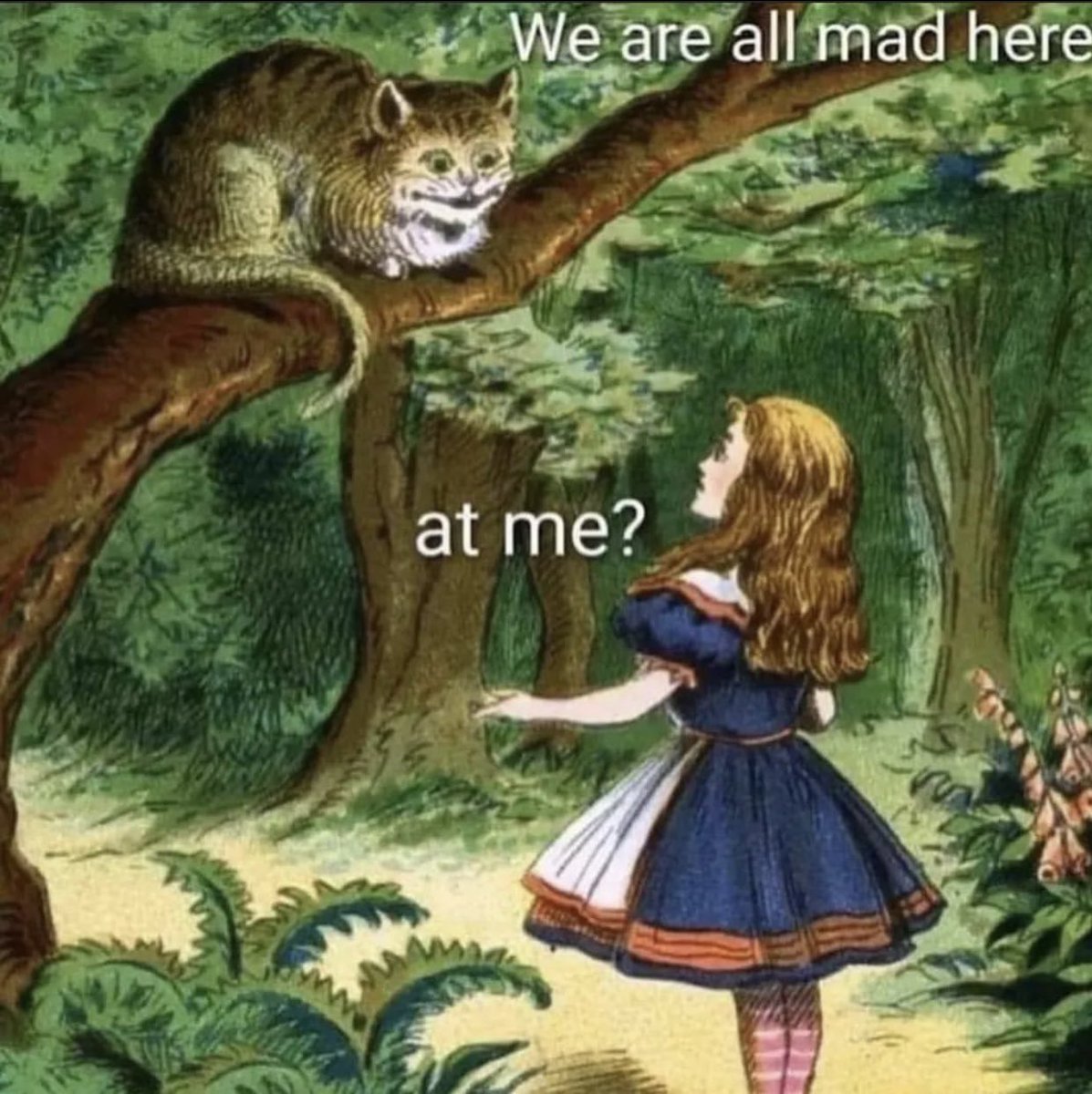 The Notorious J.O.V. (@whotfisjovana) on Twitter photo 