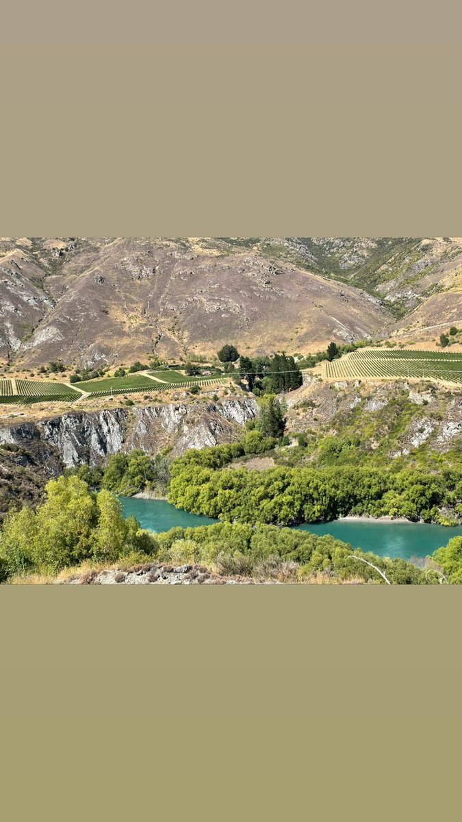 Bleaksta's tweet image. Would highly recommend the Queenstown bike tours #goingblue. Fantastic way to spend time in a beautiful place with the added bonus of plenty of wineries to visit en route ❤️🚴‍♂️🍷☀️