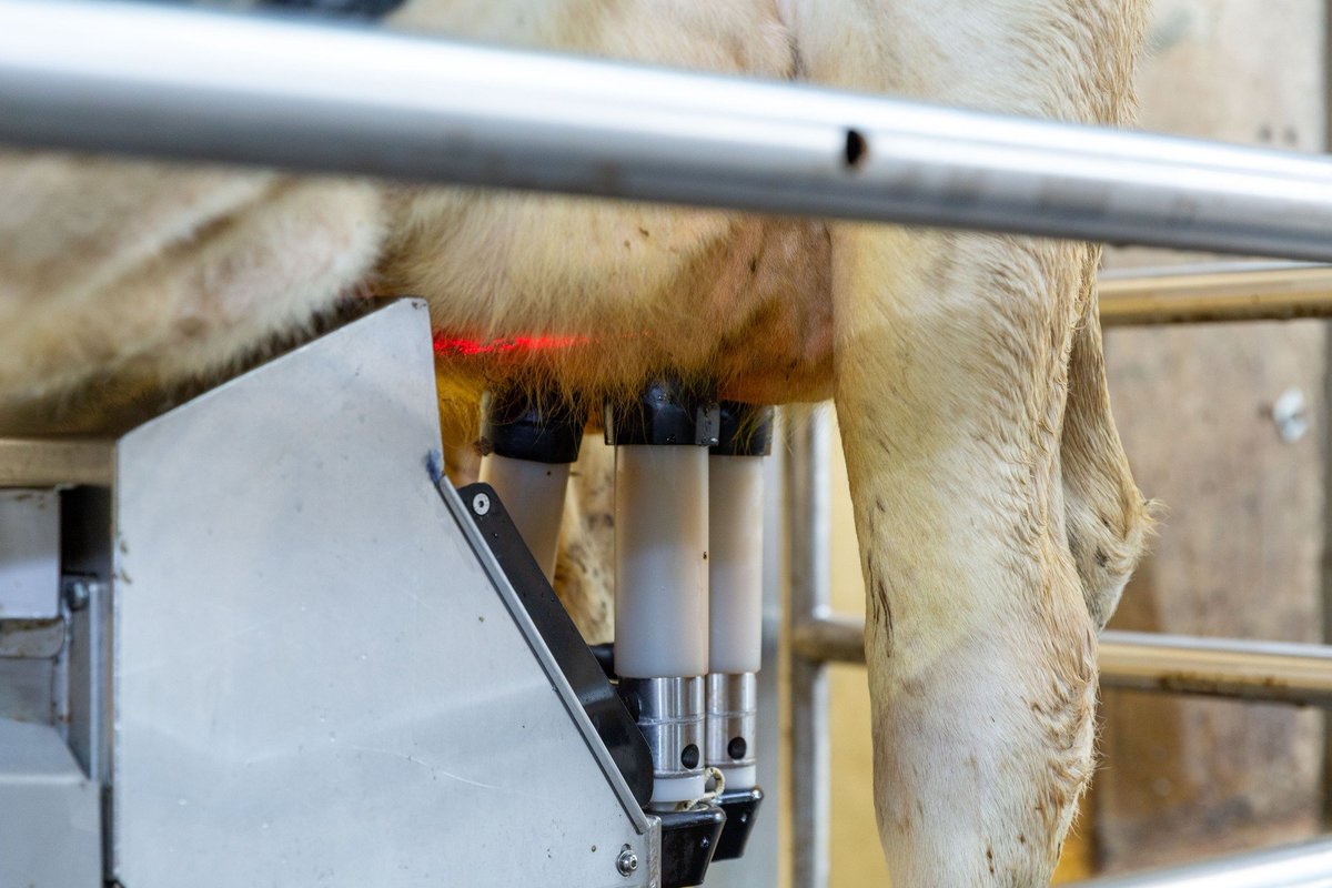 CjFitzgerld's tweet photo. Fullwood M²erlin is now available in Australia - After better milking and higher yields? The Fullwood JOZ M²erlin can deliver just that! Call to book an appointment 0493 214 077
#innovativefarmingsolutions #dairyfarm #dairyfarms #dairysa #dairyaustralia #freestallbarn https://t.co/We5PSupnWh