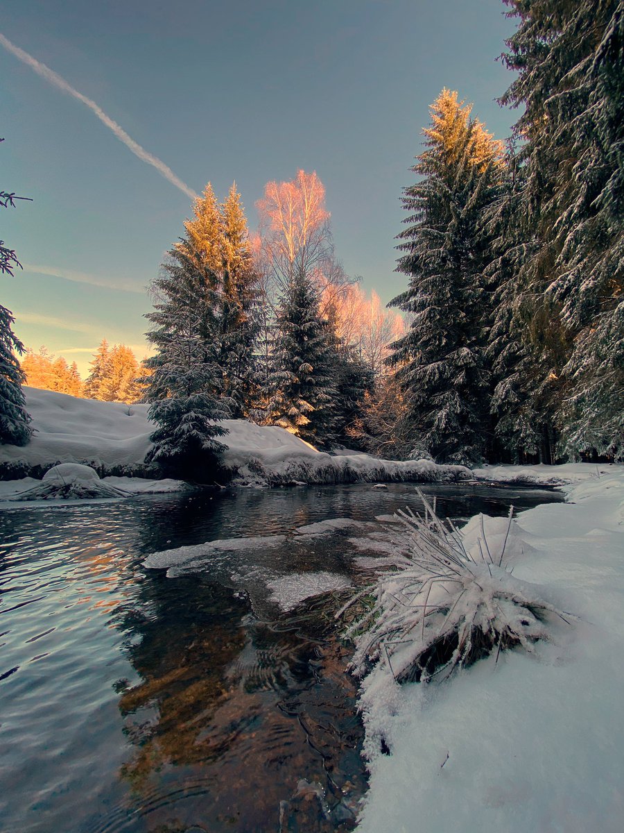Simone_Hertel's tweet photo. Winterportraits in verschneiter erzgebirgischer Traumkulisse #erzgebirge #winter #snow #portraits #winterportraits
https://t.co/VltGKsOIRN https://t.co/RWMqAr7V20