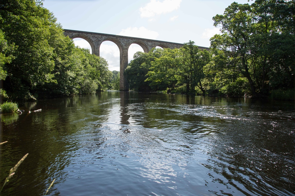 TalktoBowen's tweet image. ❤️ It's Valentine's month ❤️ And love is in the air. So here's just a snapshot of why we love Wrexham #nantmill #powerwoods #erdidig #alynwaters #tymawrcountrypark #pontycysyllteaqueduct #lovewhereyoulive