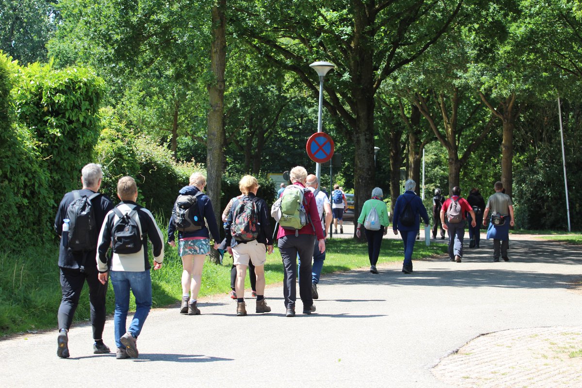 Wandelvierdaagse tweet media