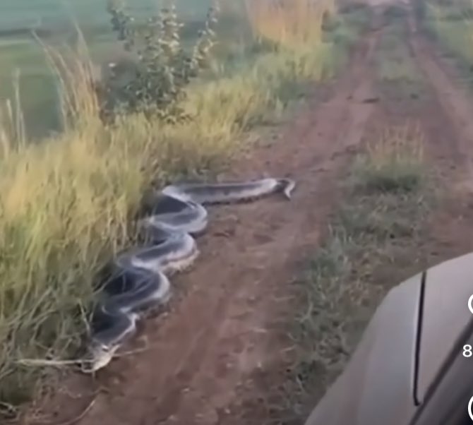 OyinTGSPE's tweet image. As a man of faith, what’s your next move ?