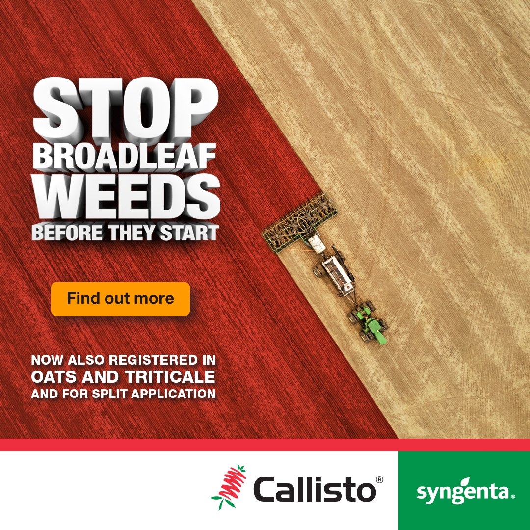 Have you heard the news?

CALLISTO now registered for use in Oats and Triticale. 

As well as registered for split applications in Wheat and Barley.

syngenta.com.au/callisto