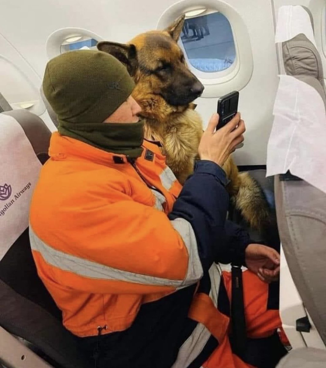 enastaenistera's tweet photo. Depreme yardım yolunda gidecekleri yerlerin videosunu seyrettiriyorlarmış…
Bir de köpek anlamaz deniyor... https://t.co/D8iNHcKuRz