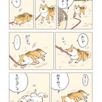 そろそろ帰るよー、と声をかけたら･･･!愛犬とのある日のやりとりを描いた「犬漫画」が話題に!