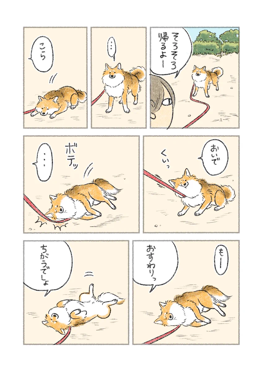 そろそろ帰るよー、と声をかけたら･･･！愛犬とのある日のやりとりを描いた「犬漫画」が話題に！