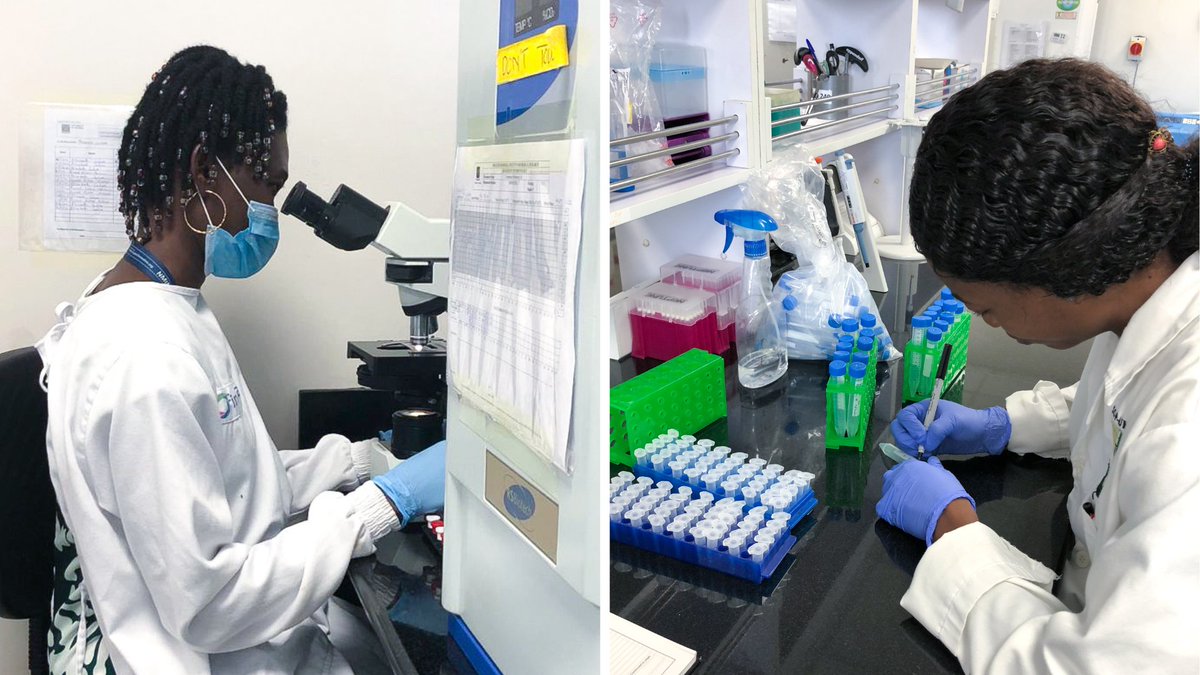 Aqsens Health (@aqsenshealth) on Twitter photo Tomorrow is the UN day for #womenandgirlsinscience This year our wonderful friends and colleagues Elizabeth and Jasmine from <a href="/NMIMR_UG/">Noguchi Memorial Institute for Medical Research</a> answered questions about their journey into the field of science and medical research 🙌 #WomenInScience #UNWomen
bit.ly/3Yojdxm Tomorrow is the UN day for #womenandgirlsinscience This year our wonderful friends and colleagues Elizabeth and Jasmine from <a href="/NMIMR_UG/">Noguchi Memorial Institute for Medical Research</a> answered questions about their journey into the field of science and medical research 🙌 #WomenInScience #UNWomen
bit.ly/3Yojdxm