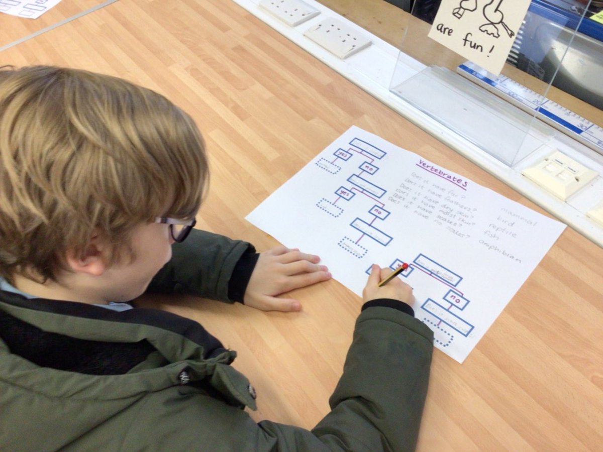 StCharlesGla's tweet photo. Yesterday in their #STEMSession, the children in Arran made a #BranchingKeyDiagram to help the younger classes learn about #AnimalClassification. #BiodiversityAndInterdependence @STEMglasgow @LfSScotland https://t.co/RZRWZTecZ1