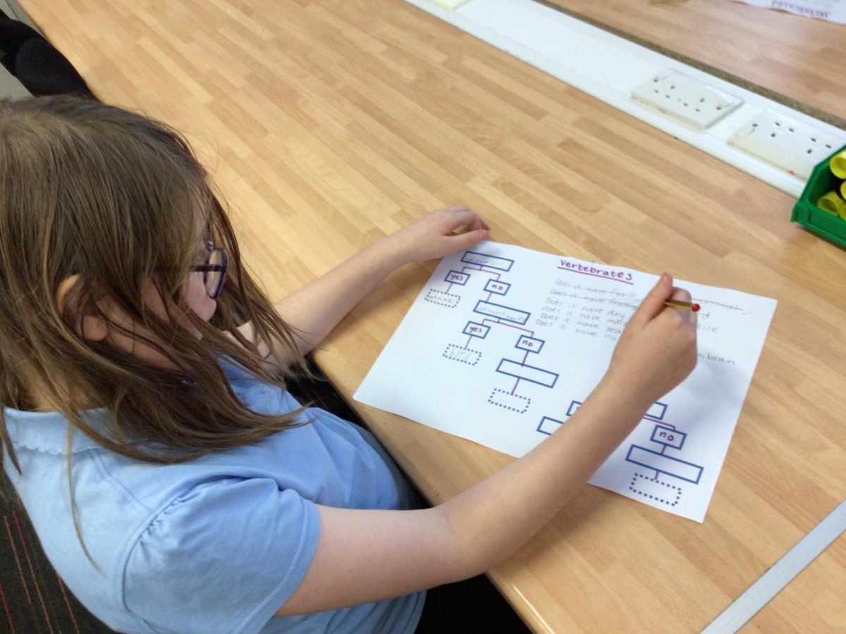 StCharlesGla's tweet photo. Yesterday in their #STEMSession, the children in Arran made a #BranchingKeyDiagram to help the younger classes learn about #AnimalClassification. #BiodiversityAndInterdependence @STEMglasgow @LfSScotland https://t.co/RZRWZTecZ1