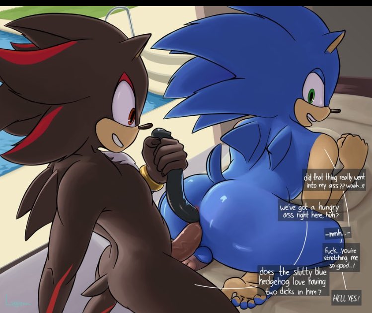 What-A-Day. 

Lets just say you should never leave Shadow and Sonic alone, or this will happen.