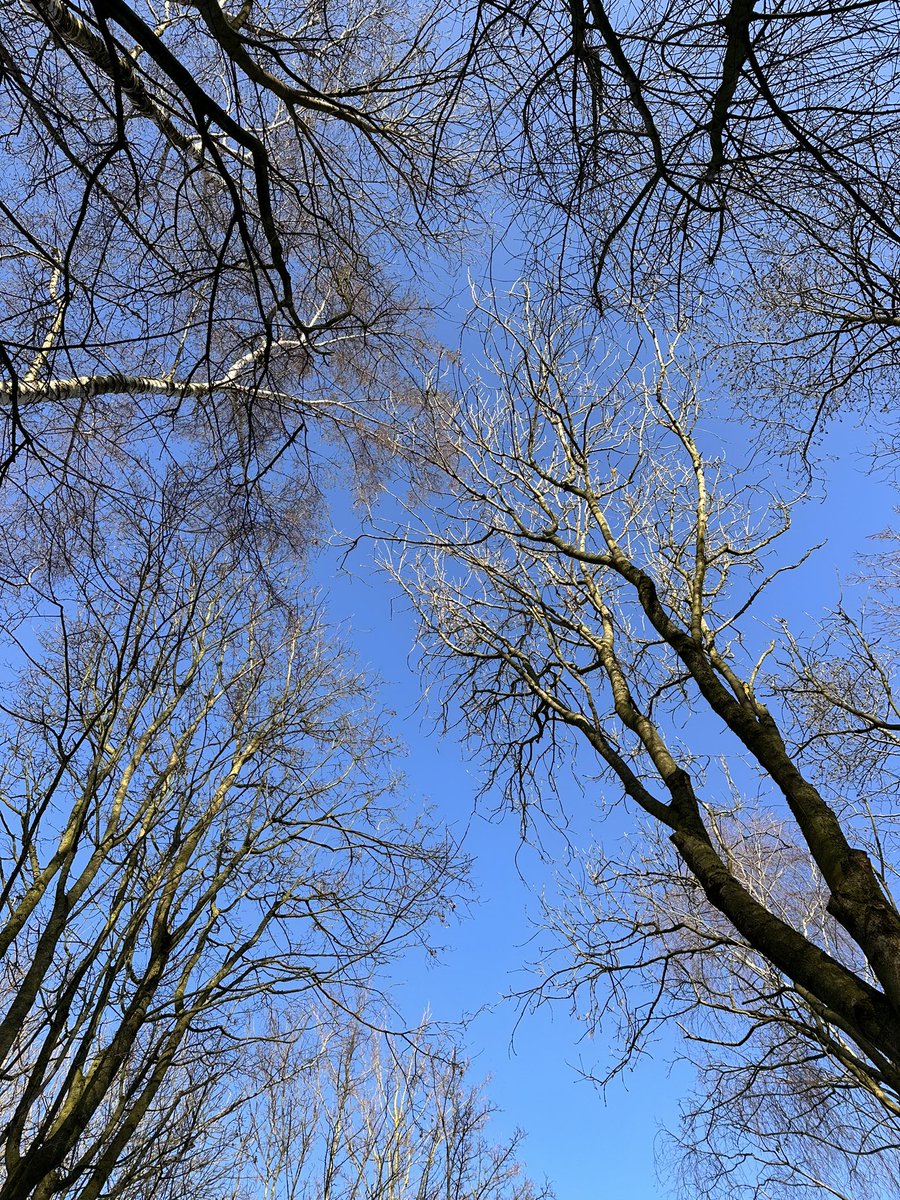 Outdoor Learning at Winsford High Street tweet media